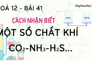 Cách nhận biết, phân biệt một số chất khí và bài tập vận dụng - hoá 12 bài 41